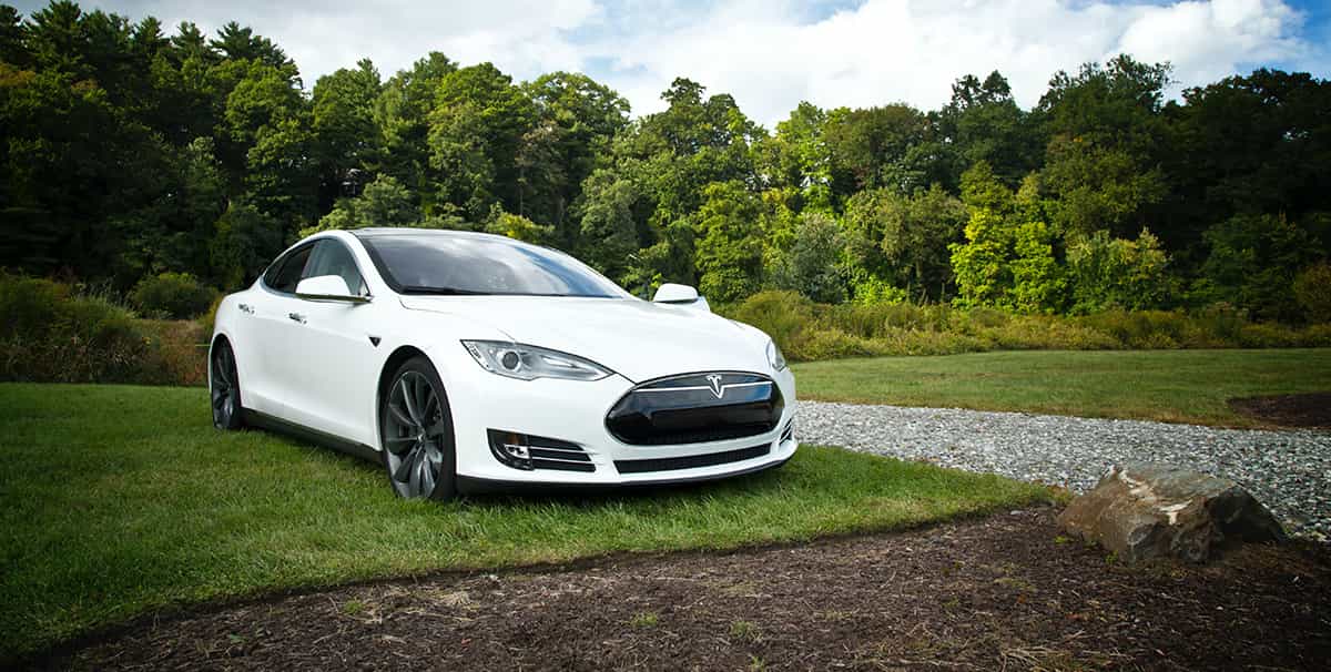 White tesla in a field