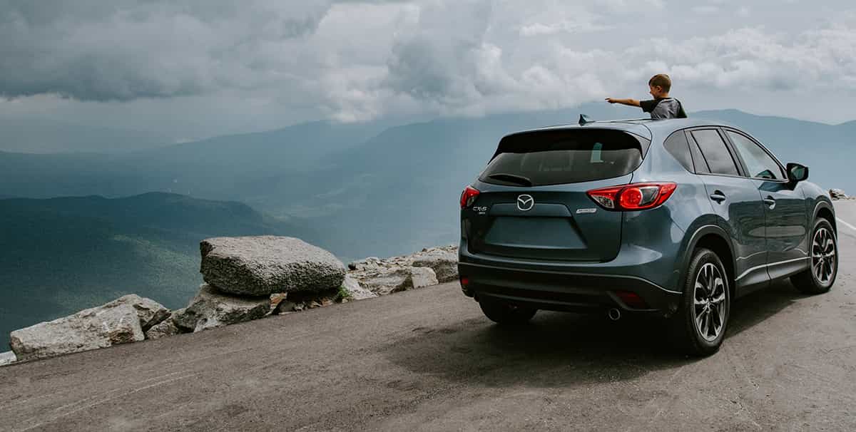 Family car with lanscape