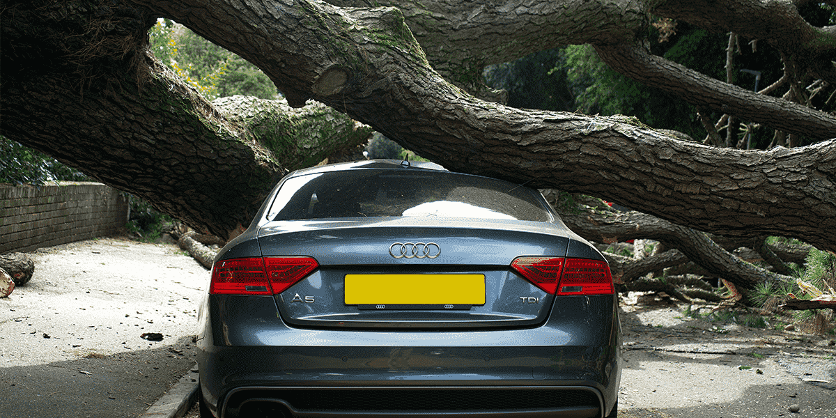 Car damaged by falling